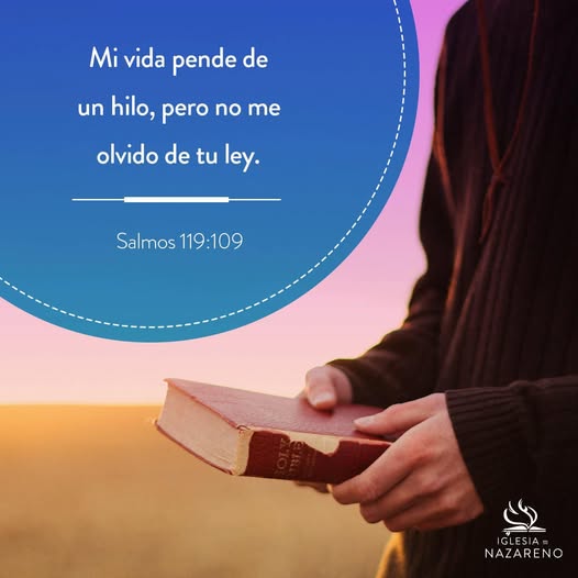Palabra Viva